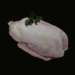 Whole Goose Deposit