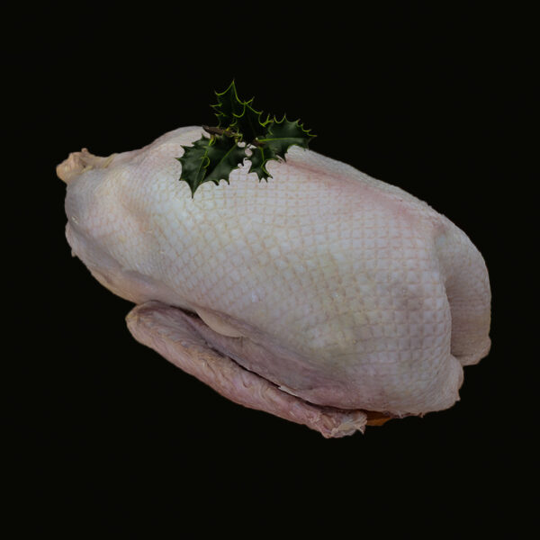 Whole Goose Deposit
